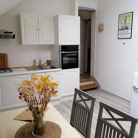 Bel Appt 3 Pieces, A L'Etage, Jardin Privatif, Au Calme, 10 Mn Saumur Et Cnpe Varennes-sur-Loire المظهر الخارجي الصورة
