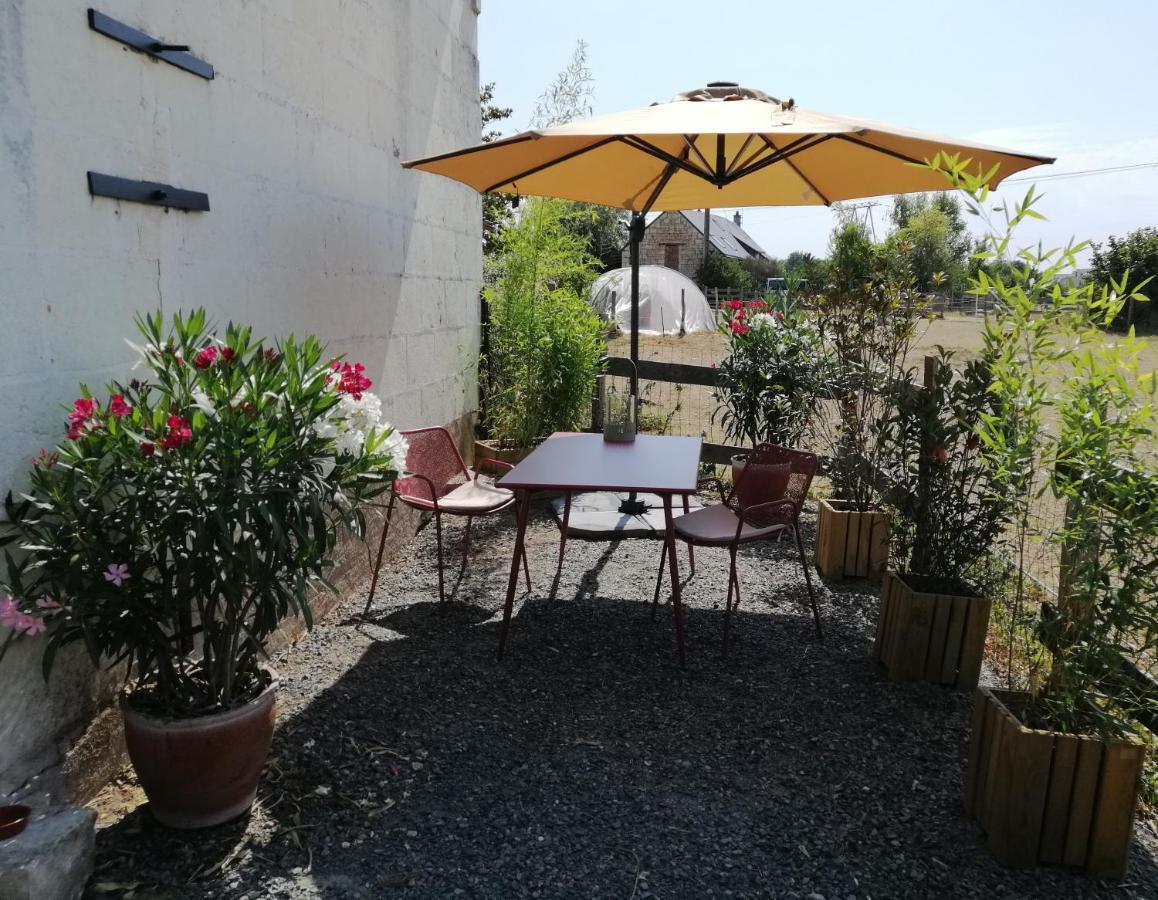 Bel Appt 3 Pieces, A L'Etage, Jardin Privatif, Au Calme, 10 Mn Saumur Et Cnpe Varennes-sur-Loire المظهر الخارجي الصورة