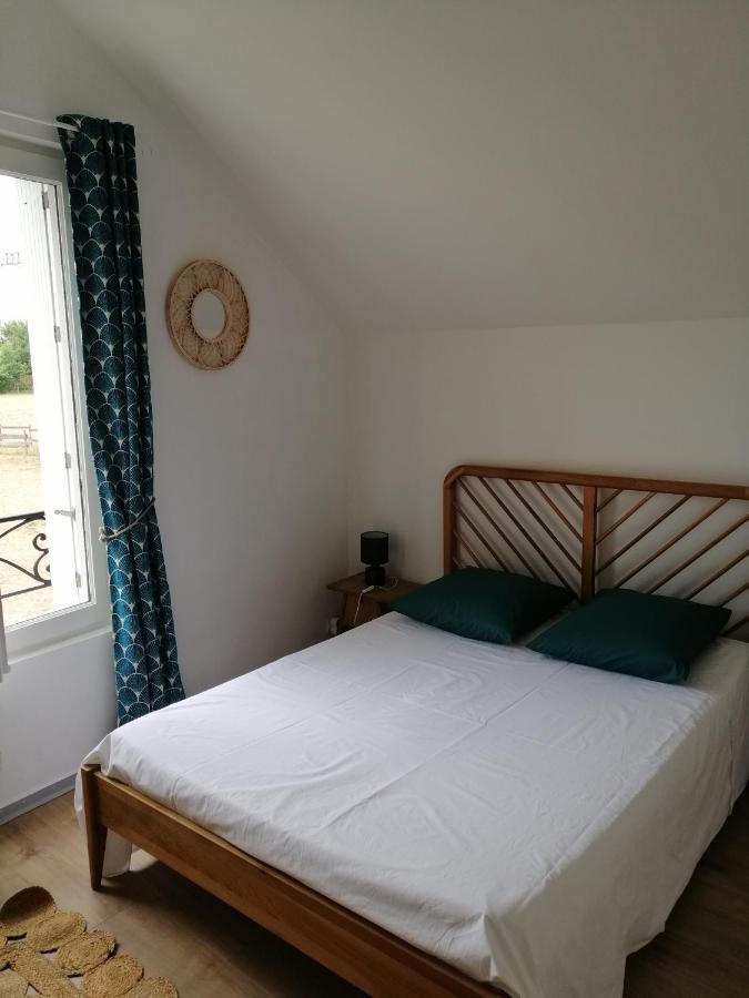 Bel Appt 3 Pieces, A L'Etage, Jardin Privatif, Au Calme, 10 Mn Saumur Et Cnpe Varennes-sur-Loire المظهر الخارجي الصورة